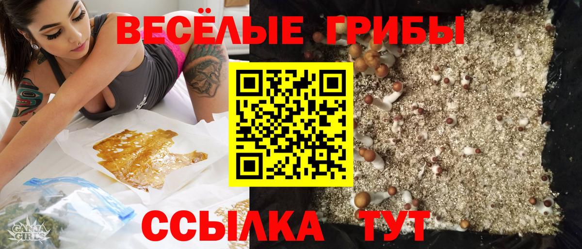 Псилоцибиновые грибы MAGIC MUSHROOMS Нижний Тагил