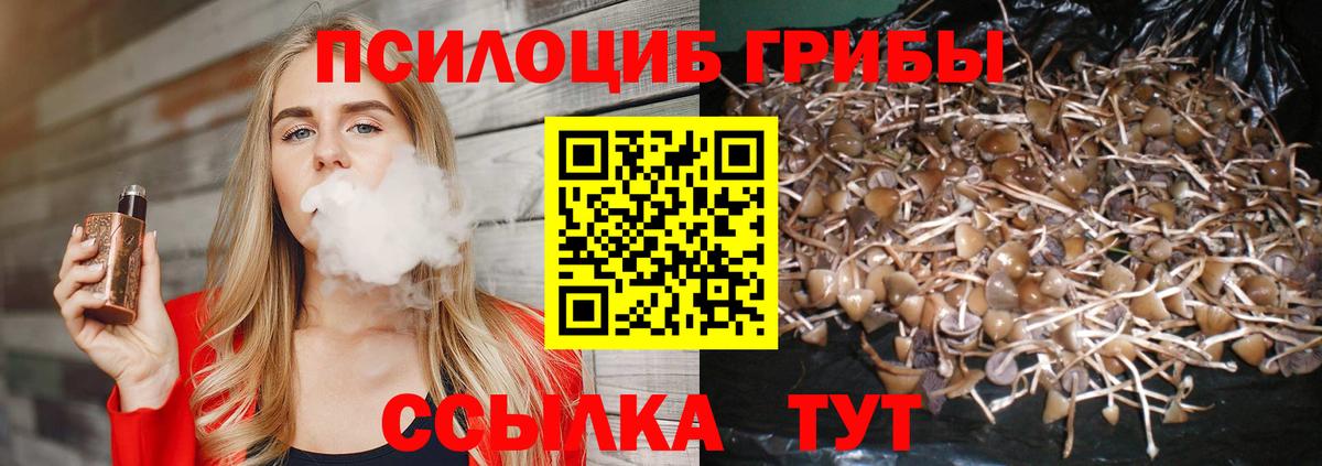 Нижний Тагил  Галлюциногенные грибы ЛСД  Вход с VPN 